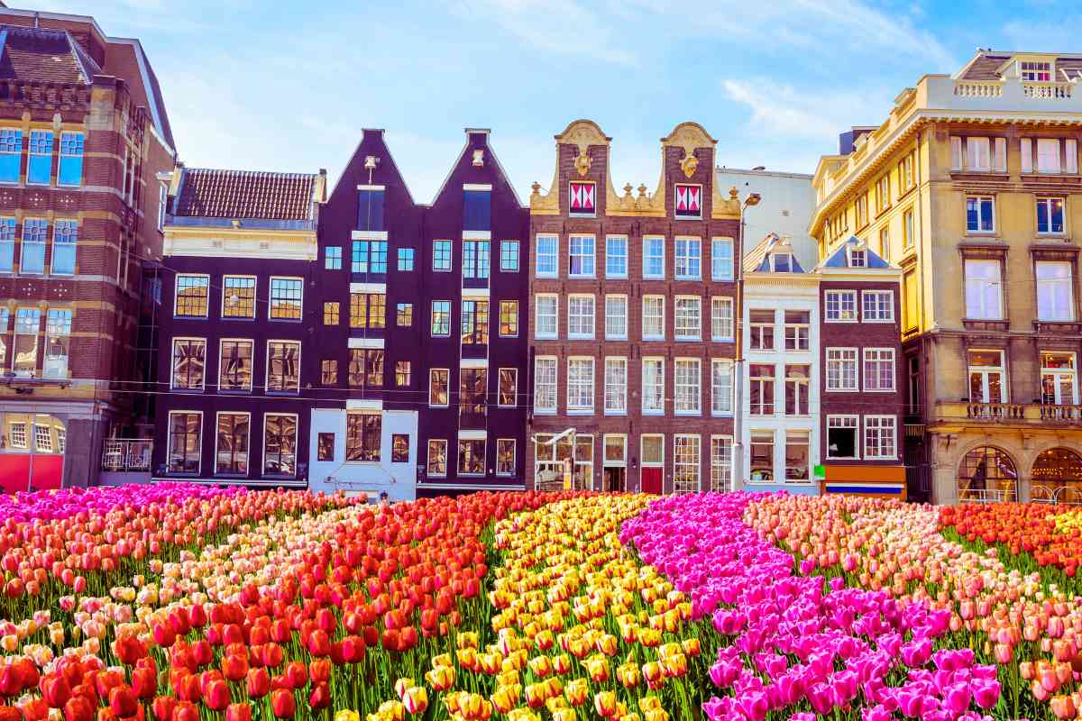 Jobs in the Netherlands with Visa Sponsorship for Foreigners